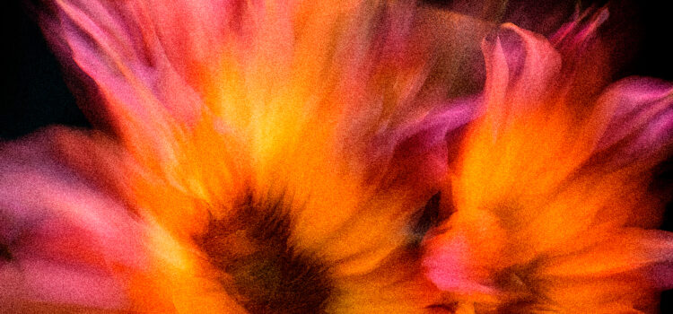 AVENTURAS DE DOS ANÓNIMOS